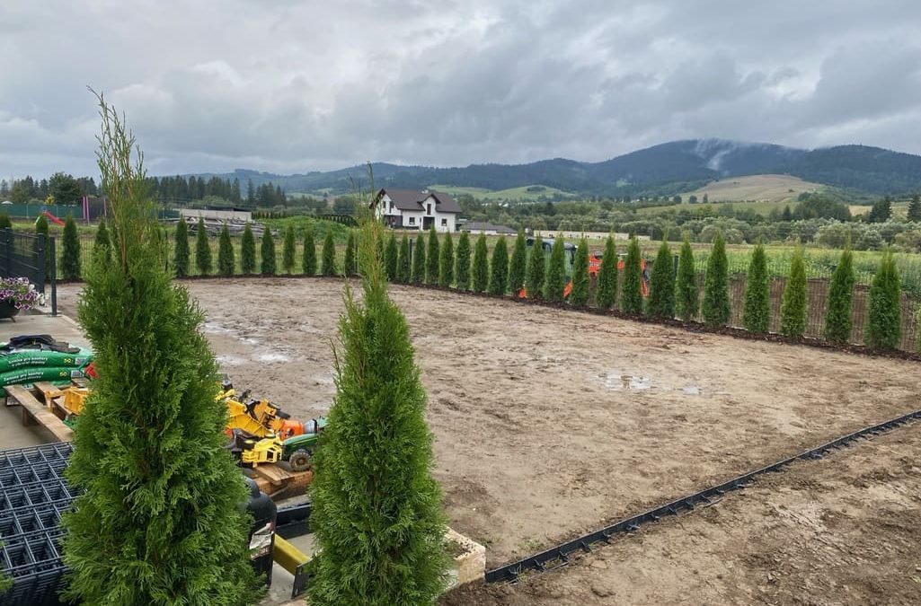 Proč si vybrat túje Smaragd do zahrady?