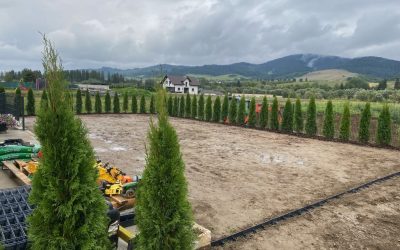 Proč si vybrat túje Smaragd do zahrady?